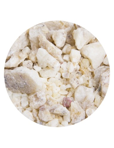 Encens Djaoui blanc - 1ère qualité - 1 Kg