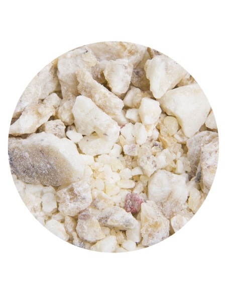 Encens Djaoui blanc - 1ère qualité - 1 Kg