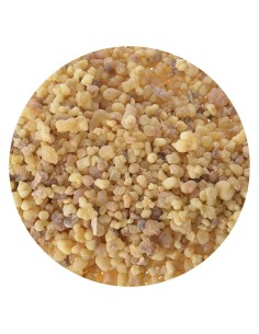 Encens Larmes Somalie 1 Kg