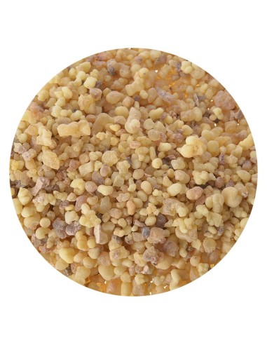 incenso lacrime della Somalia 1kg