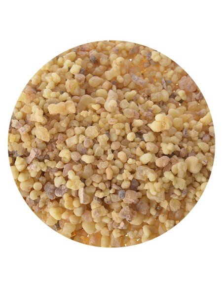 Encens Larmes Somalie 1 Kg