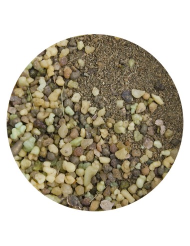 Encens de protection 1 Kg