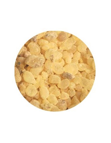 Encens Oliban - Larmes de Soudan - 1 kg