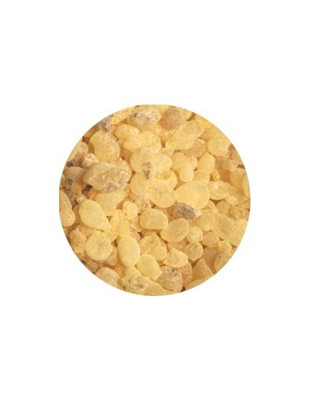 Incienso lágrima de Sudán- Oliban  - 1 Kg