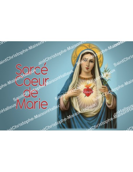 Rectangular Stickers - guardian angel - 8 pieces - french