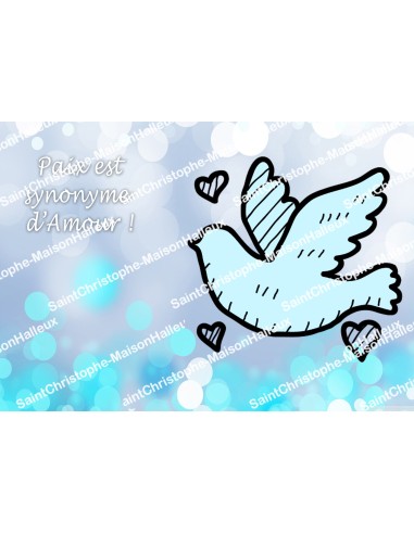 Pegatina Sagrado Corazón de Jesús - rectangular  