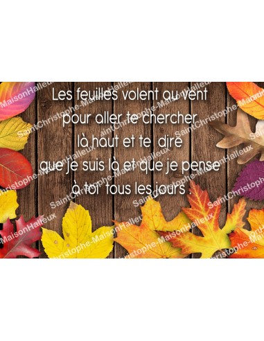 Autocollant Sacré Cœur de Jésus - rectangulaire  