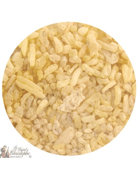 Incienso en polvo de loto - 1 kg 