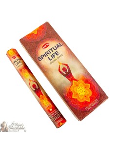 Incense Spiritual Life Sticks - HEM 2