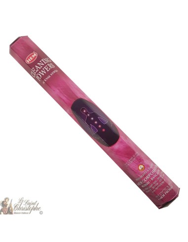 Incense Cleaning Powers sticks - HEM