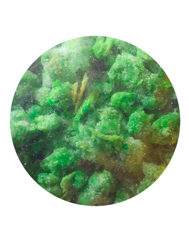 Incenso naturale Speranza di vita - 1 kg