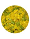 Encens Bergamote - 1 Kg