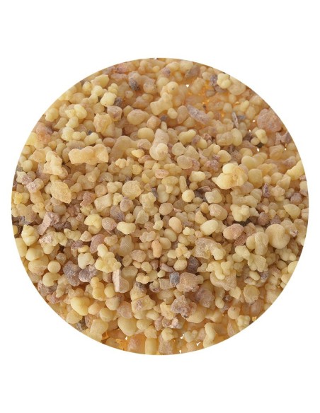 Encens Mastic - 500 gr