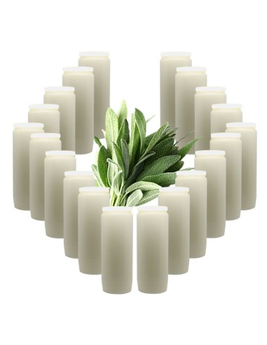 Bougies Neuvaines - Blanches - parfum sauge