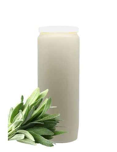 Candles Novena - Pink - perfumed Rose