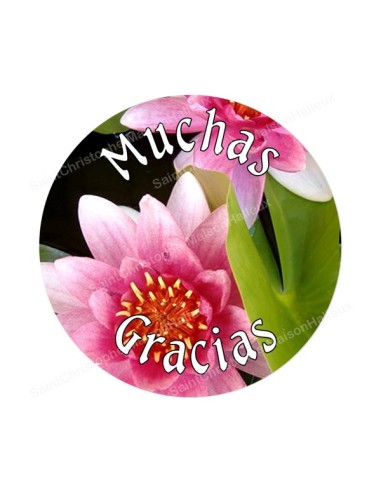 Autocollants ronds - 45mm - "Muchas gracias ES" - planche 24 pièces