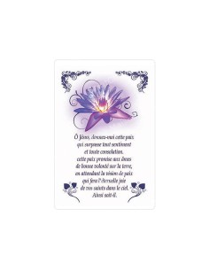 Autocollants Rectangulaires de la Vierge de Banneux 8 pièces