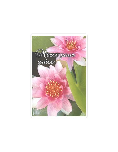 Autocollants Rectangulaires - "Merci pour grâce - clair" - 8 pièces - Français