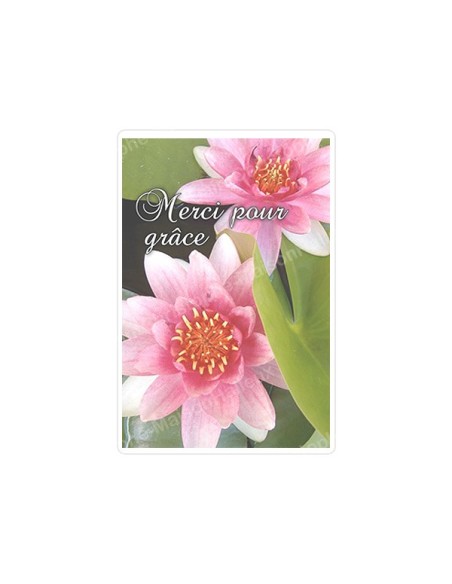 Autocollants Rectangulaires de la Vierge de Banneux 8 pièces