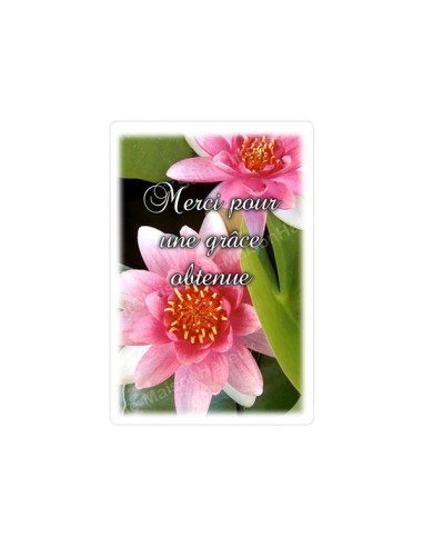 Autocollants Rectangulaires de la Vierge de Banneux 8 pièces