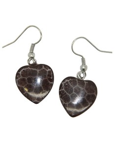 Boucles d'oreilles cœurs 