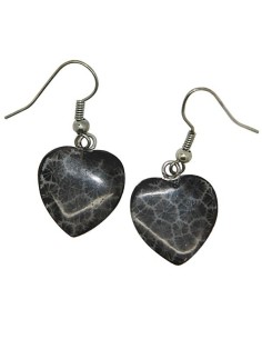 Boucles d'oreilles cœurs  2