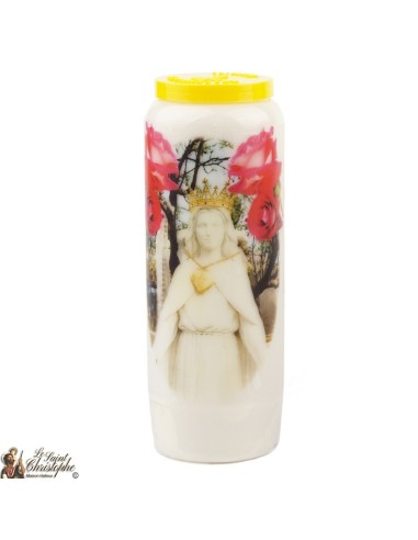 Bougies Neuvaines de Saint prière Français