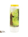 Bougies Neuvaines - Blanches à Saint François d'Assise - (Français)