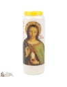 Candles Novena - White - "Saint Marie-Madeleine"