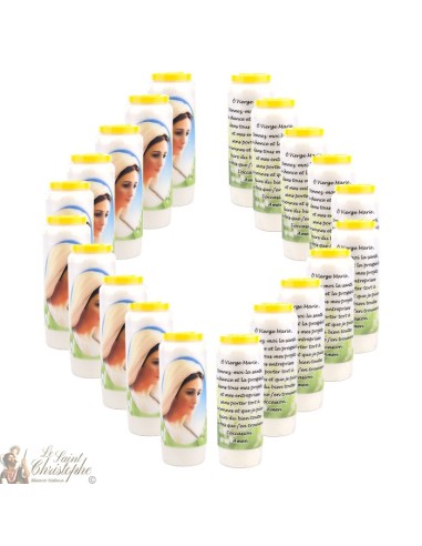 Bougies Neuvaines à la vierge marie modèle 2  - prière français