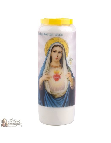Bougies Neuvaines au Sacrés Coeur de Marie - prière néerlandais