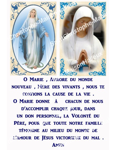 Autocollants Rectangulaires - "Banneux Miraculeuse - Prière" - 8 pièces - Français