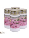 Outdoor candles Toussaint lids - French prayer