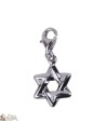 Pendentif Etoile de David Charm - Argent 925