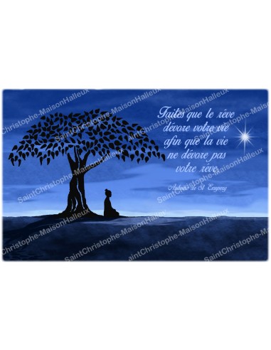 decorative sticker  for  novena candle With citation in French - happiness model 2
