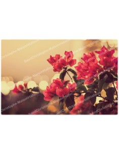 Adesivo decorativo - candela novena - fiori modello 1