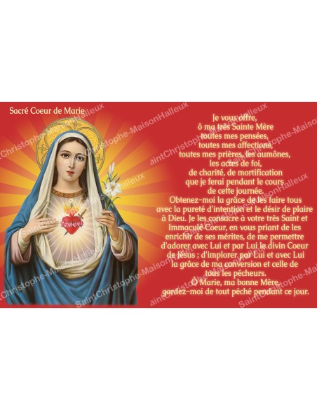 sticker with french  prayer - Sacred Heart of Mary