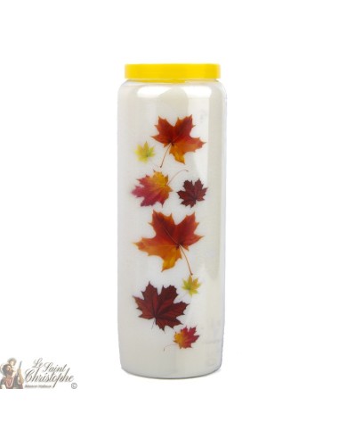 White Neuvaine candles for lost persons - French text